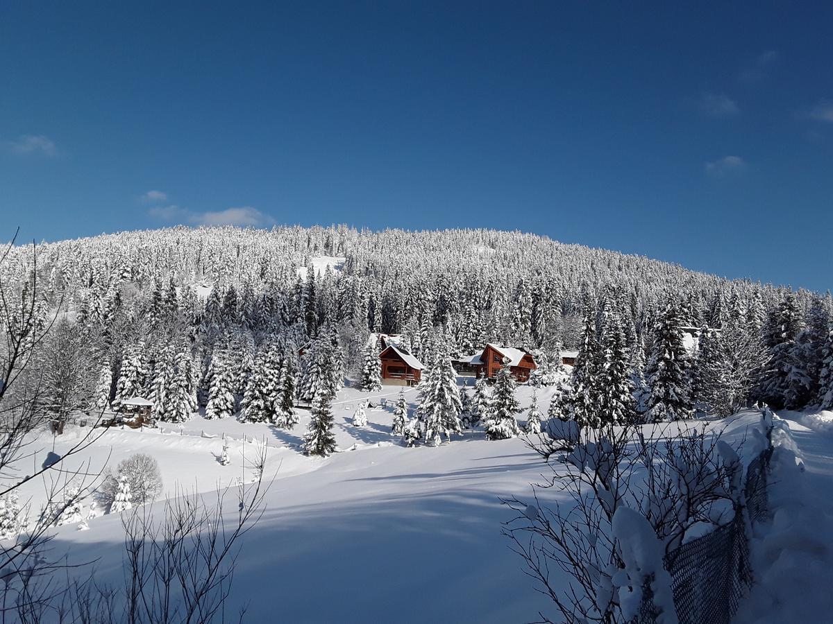Oryavchik Country House Oryavchyk Eksteriør billede